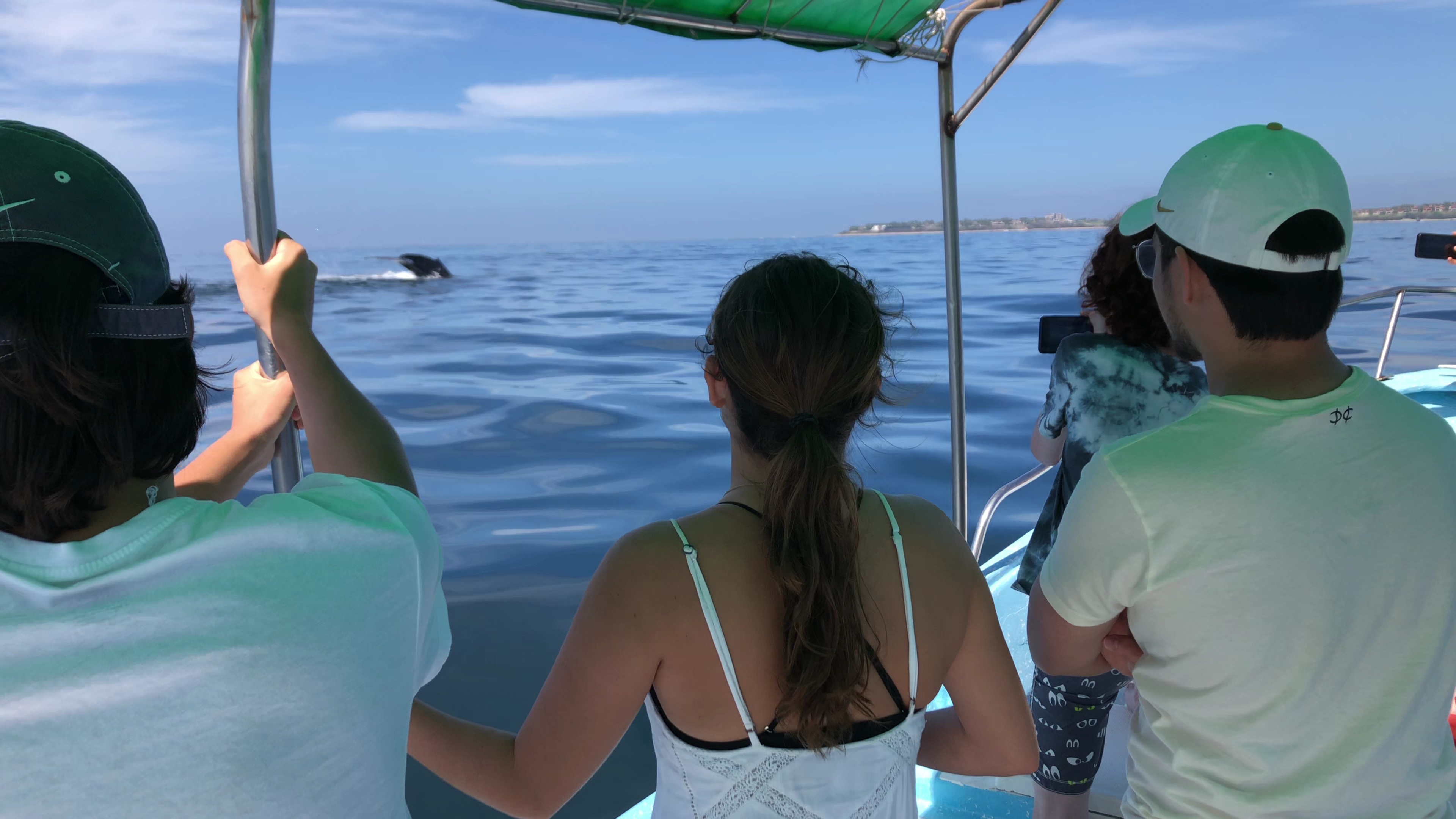 Avistamiento de ballenas en punta de mita, cerca de Isla Marietas, Playamarietas